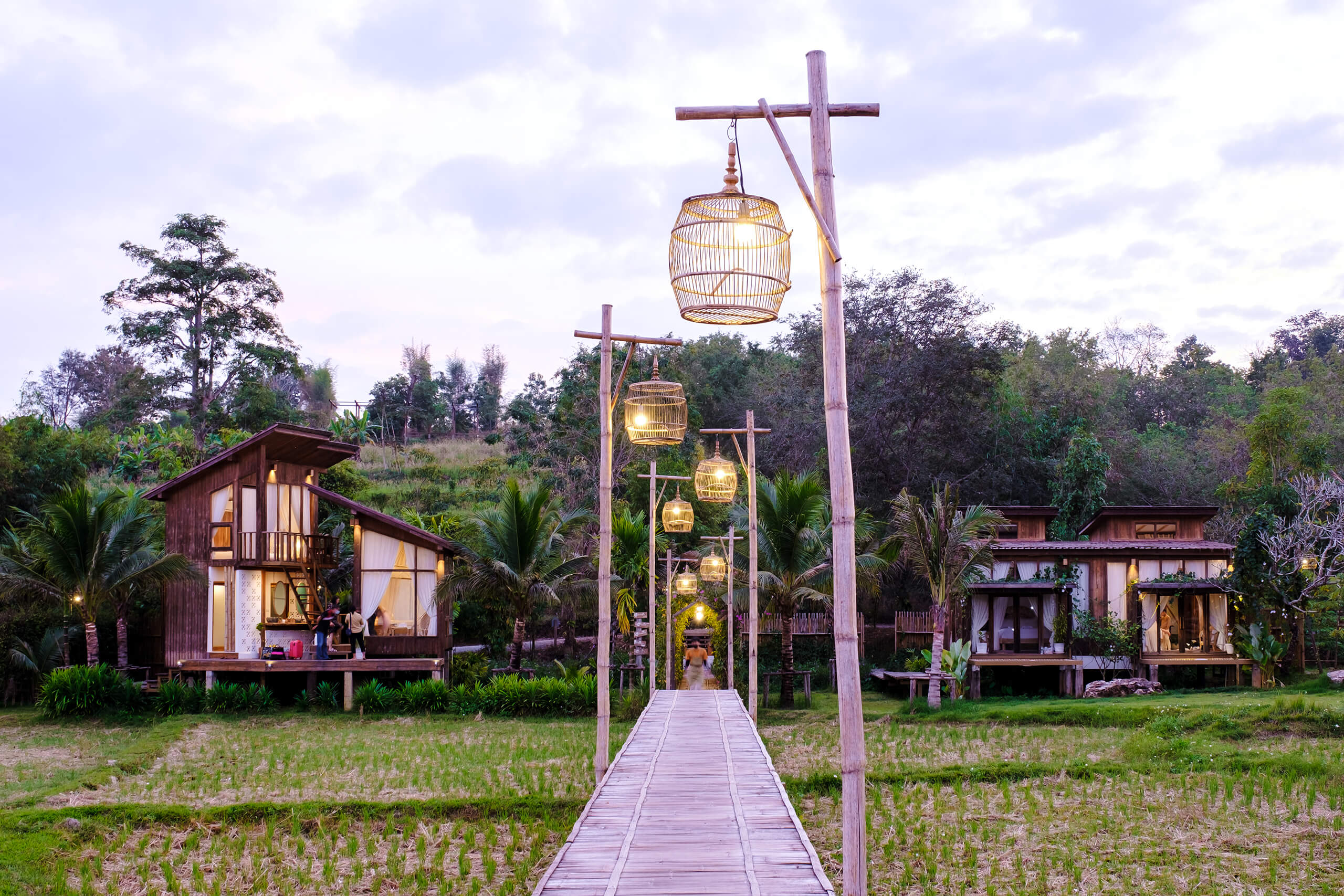 Image Main Example 01